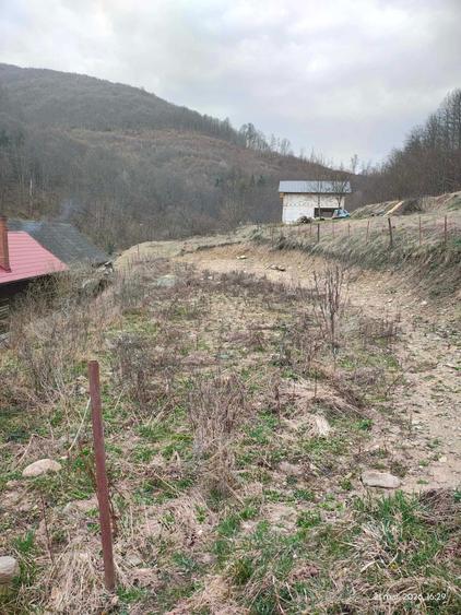 vand teren coada lacului tarnita - 6