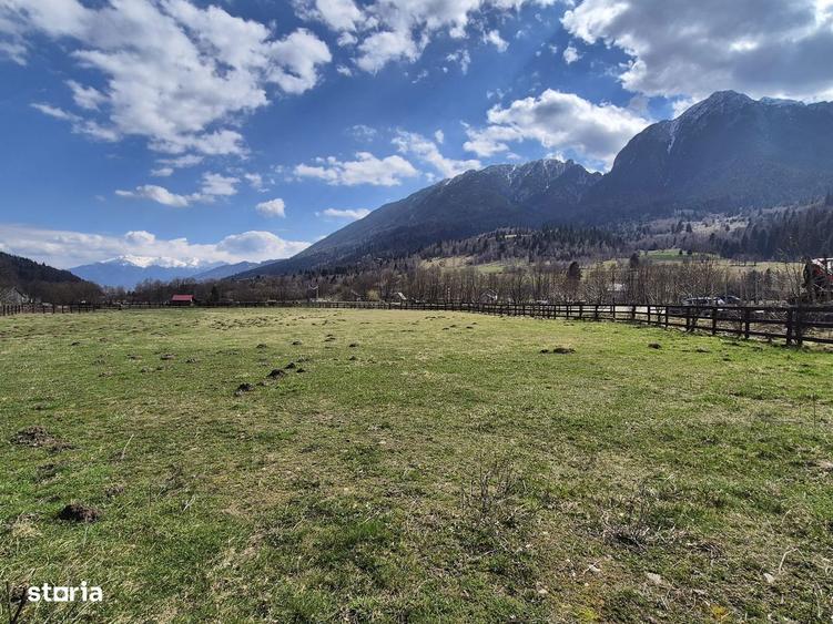 Teren intravilan cu vedere la munte, 1200 mp, acces usor, Plaiul Foii - 5