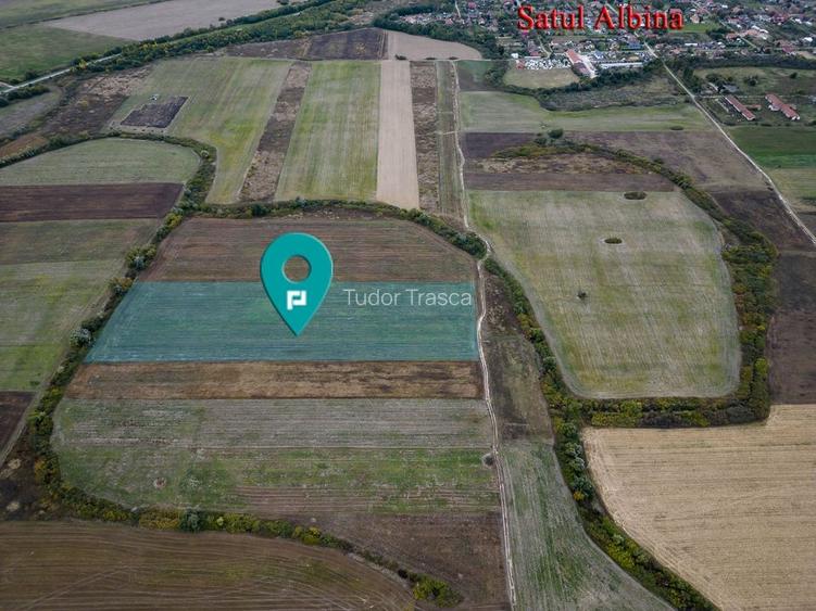 Teren agricol de 34.500mp în Albina, Județul Timiș