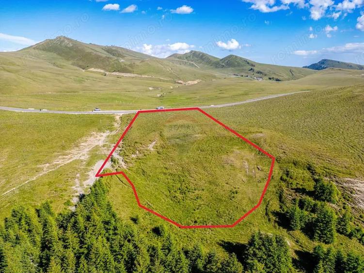 Teren intravilan Transbucegi / Oportunitate de dezvoltare Transbucegi - 8