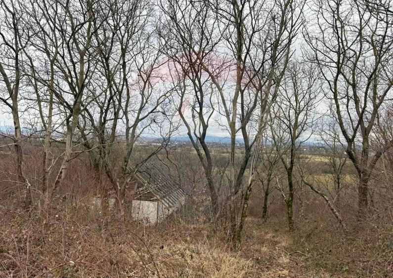 DE VANZARE Teren Strada Victoriei Baia Mare - 12