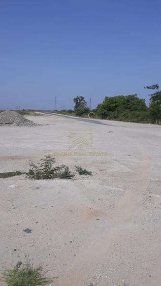 Spre Vanzare - Teren Intravilan - Vitanul Nou - Palady - 4