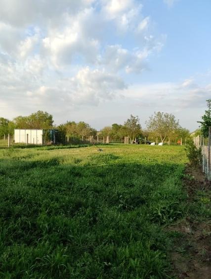 Teren intravilan cu vedere spre Lacul Buftea - 8
