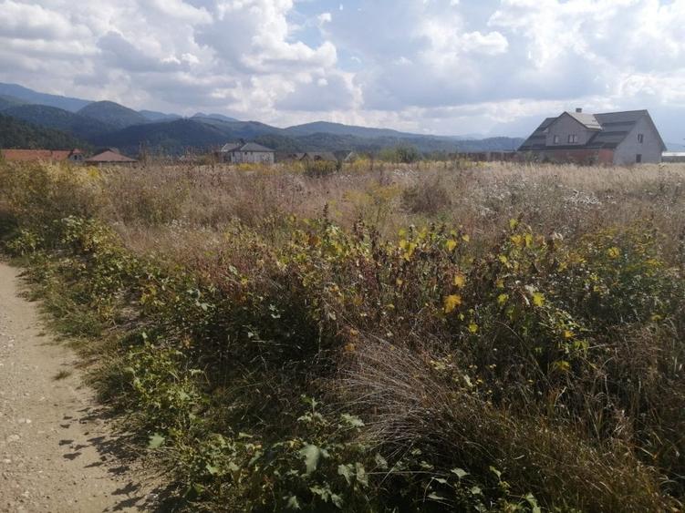 Teren de vanzare Cristian - 2