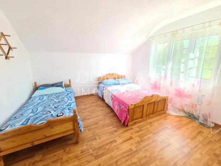 Vanzare proprietate multifunc?ionala, in Arcani, sat Sanate?ti - la DN 67 D - 10