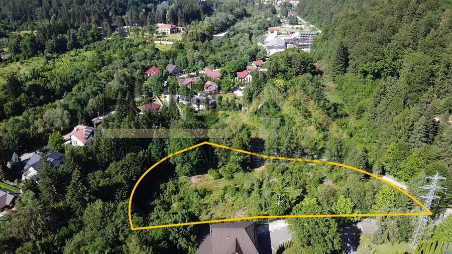 Oportunitate Investitie Teren Dambu Morii | Necesar PUD | Utilitati | 4.800mp - 4