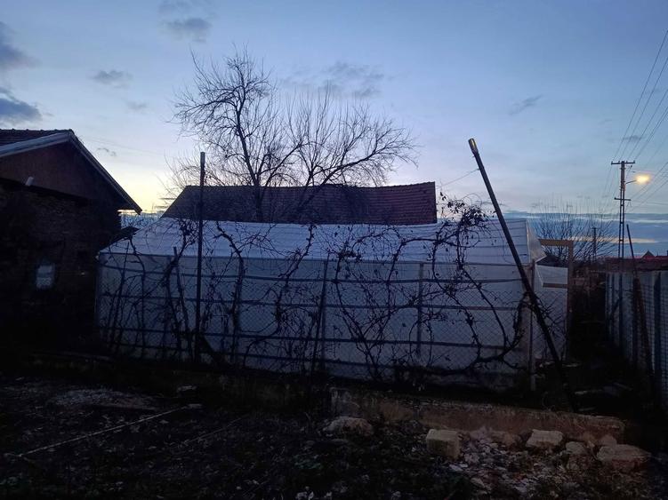 Vand casa si teren in satul Petreni, comuna Bacia - 6