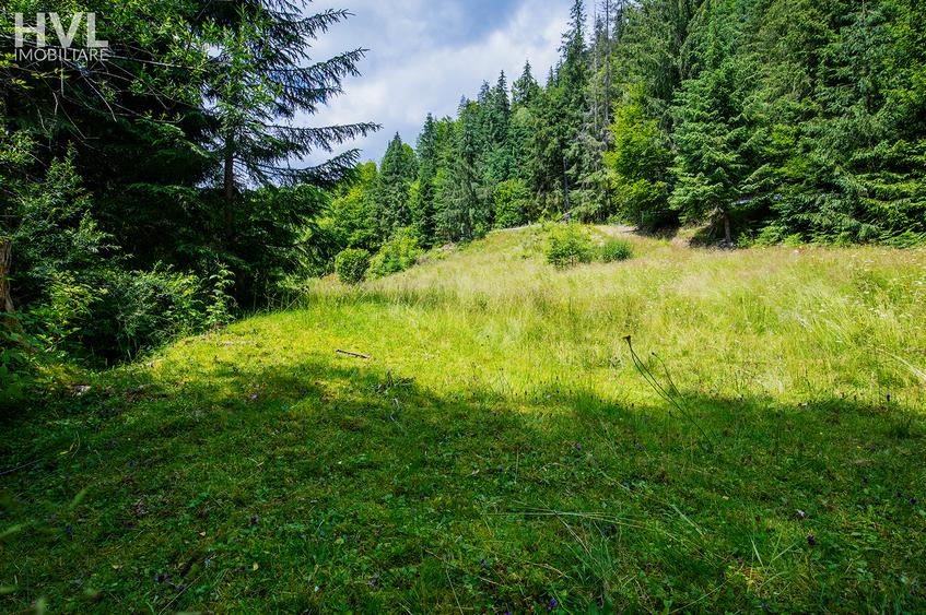 Teren curti constructii in Arieseni - 6