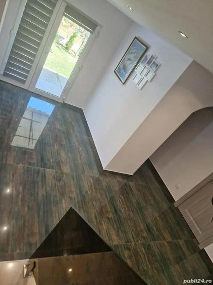 A 49 Vila LUX Letea , 320 mp utili cu 2294 mp teren intravilan - 17