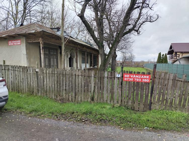 Vand teren intravilan 1000 ,pregatit pentru vanzare . - 8