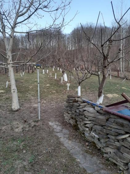Teren 5000mp ?i casa de vanzare Valenii De Munte, Prahova - 4