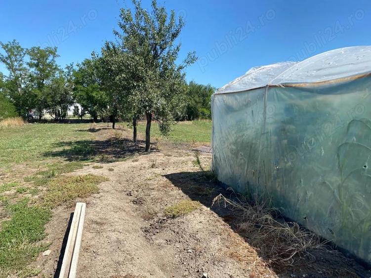 Casa de vanzare comuna Jamu Mare jud.Timis - 6