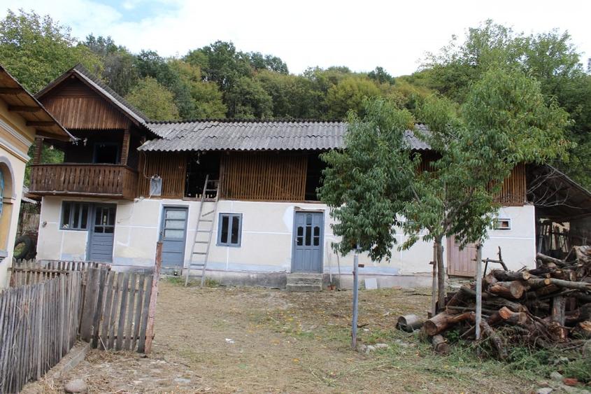 Casa si teren 5.000 mp, Stroesti - 4