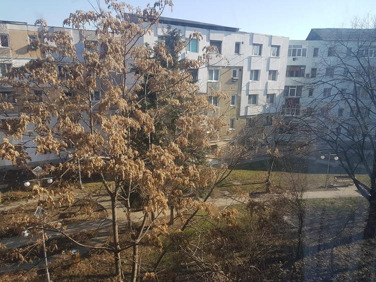 Apartament doua camere, nedecomandat, etaj trei, CT, termopan, balcon, geam baie - 17