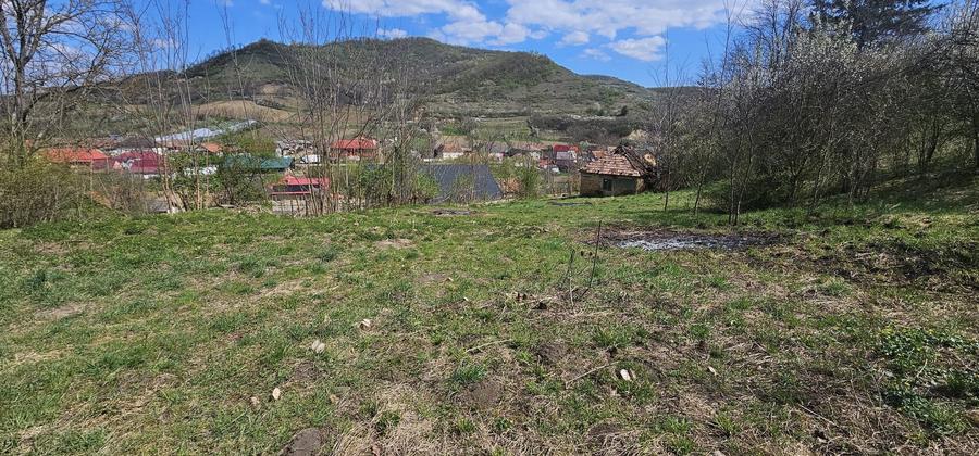 Vermes Teren Intravilan - 4