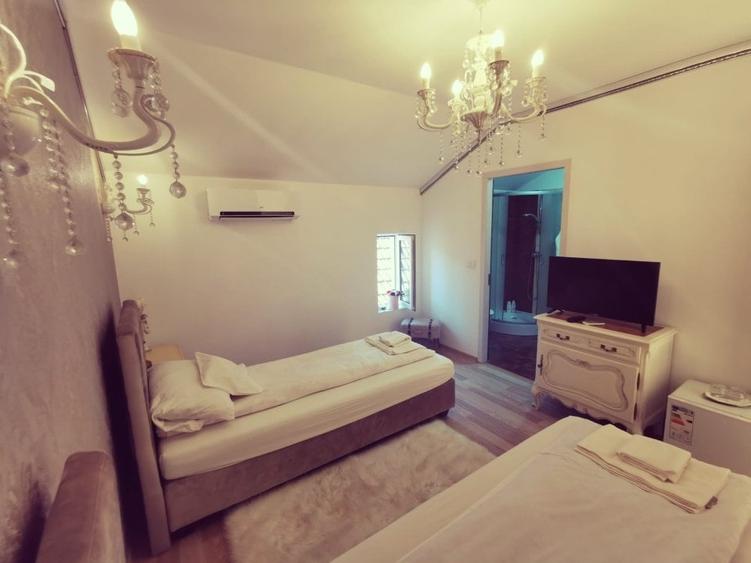 Hanul Potcoava Norocoasa – Business “la cheie“ Ortisoara !! - 25