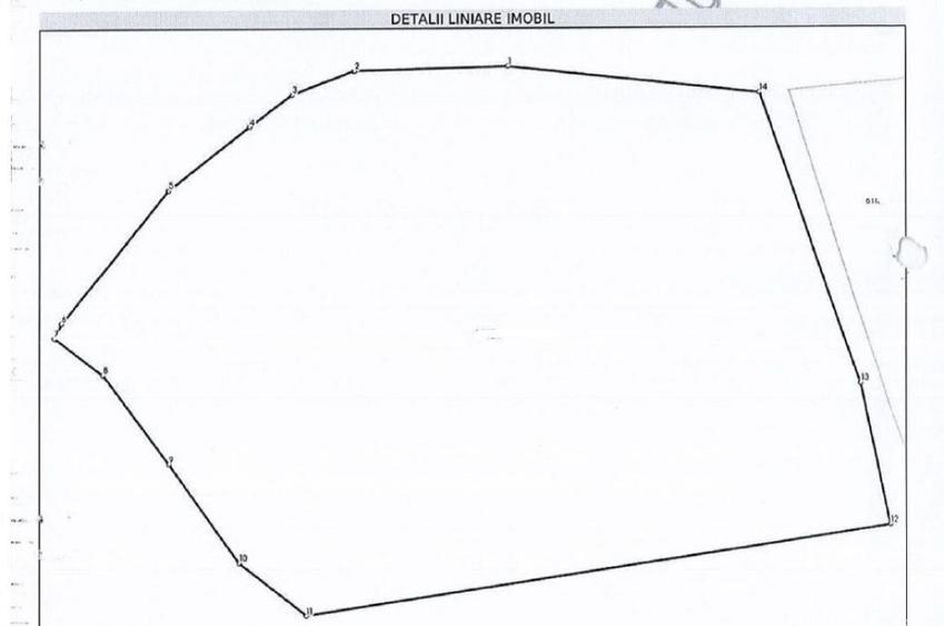 Teren extravilan-Loc. Roscani, comuna Dobra, judetul Hune... - 6
