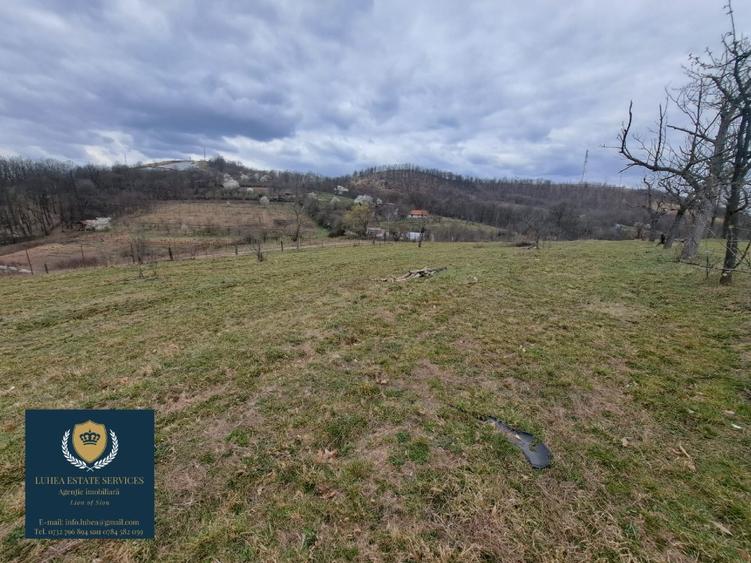 Teren construcții 25428 mp! Reșița, Calea Timișorii. - 1