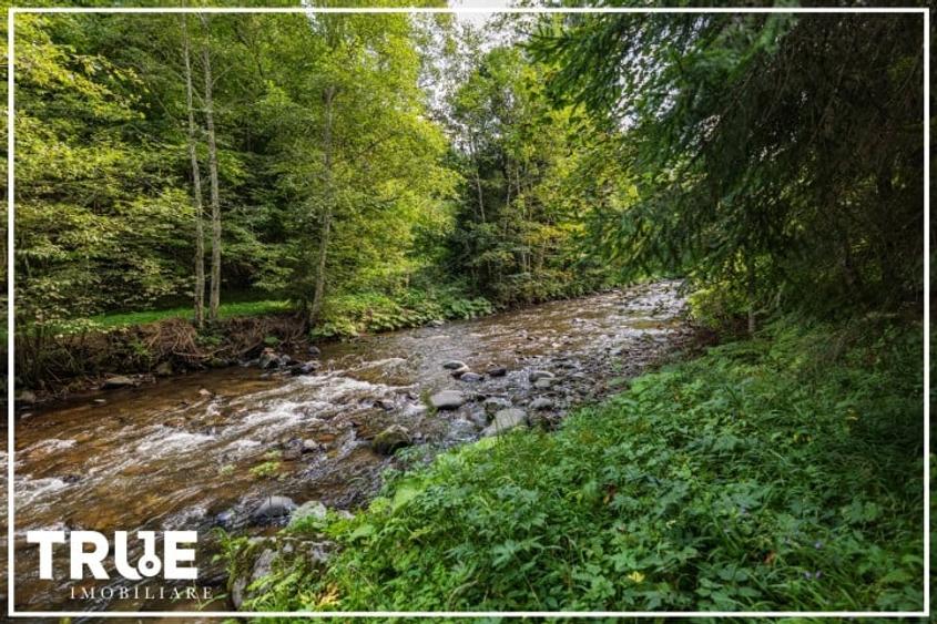 Cabană 160m? utili, teren 2253m?, Salard, Mureș! - 6