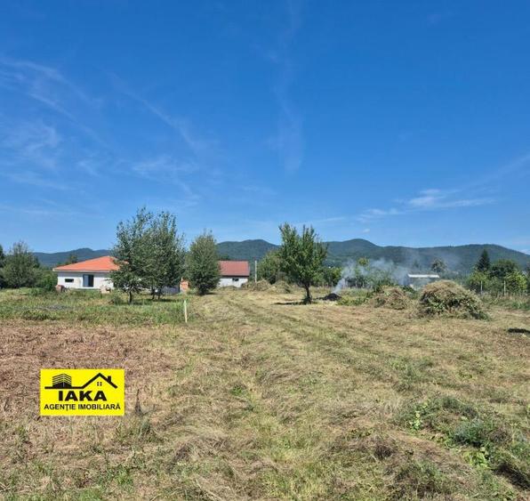 Merisor, 30 ari teren parcelabil - 5