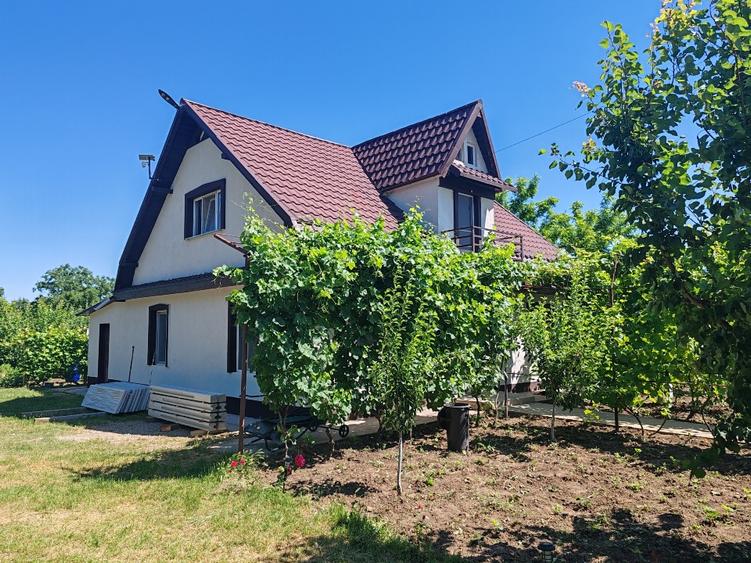 De vinzare - 6