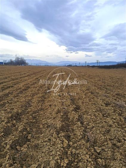 Teren extravilan Avrig