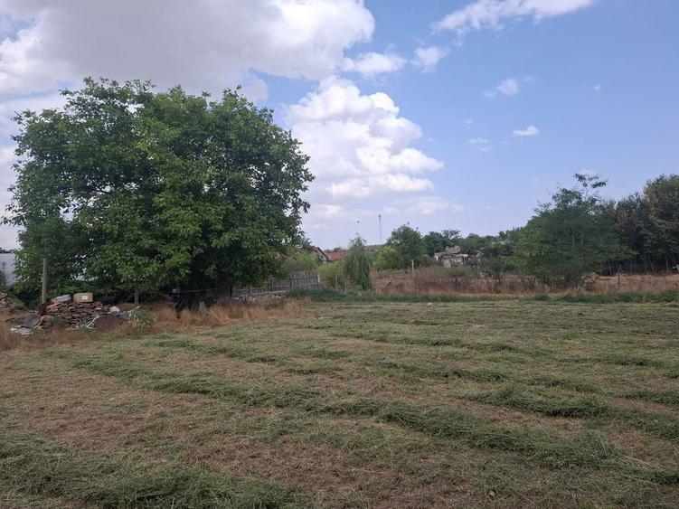 Vand 2144mp teren intravilan Com. Cuza Voda Jud. Constanta 25e/mp - 3