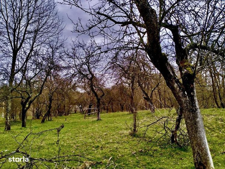 Ocazie! Vand teren Curtea de Arges glamping/ casa vacanta/ pensiune - 3