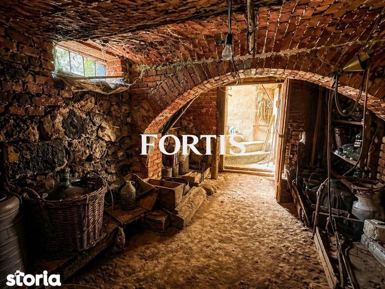 Casa de vanzare in Fagaras, zona 13 Decembrie 0% COMISION - 6