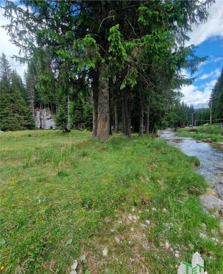 Teren intravilan de in Dambovita / Padina/ Muntii Bucegi - 3