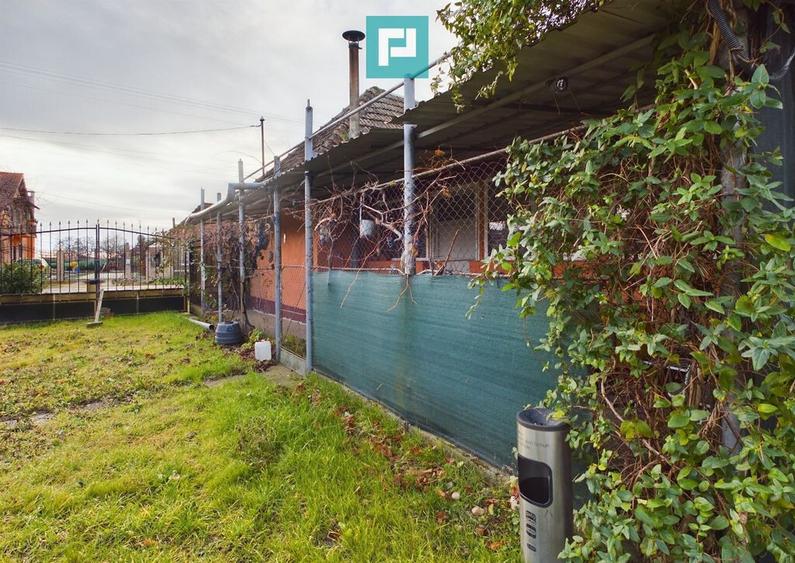 Casa cu teren generos, Turnu - 15