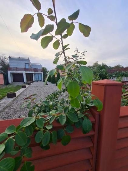 Casa noua P+1 curte si teren zona Streisangeorgiu - 10