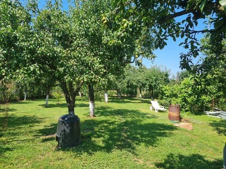 Vand casa Soimus - 1