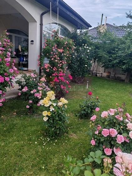 Vila superba in stil mediteranean Saftica- Corbeanca- COMISION 0 - 17