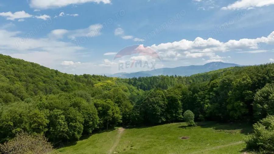 Teren de vanzare Colonia 1 Mai, 5.310 mp, ideal pentru investi?ie - 2