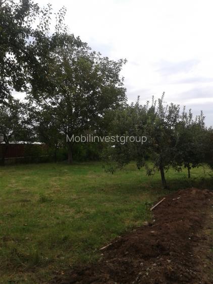Teren intravilan in localitatea 1 Decembrie, Ilfov