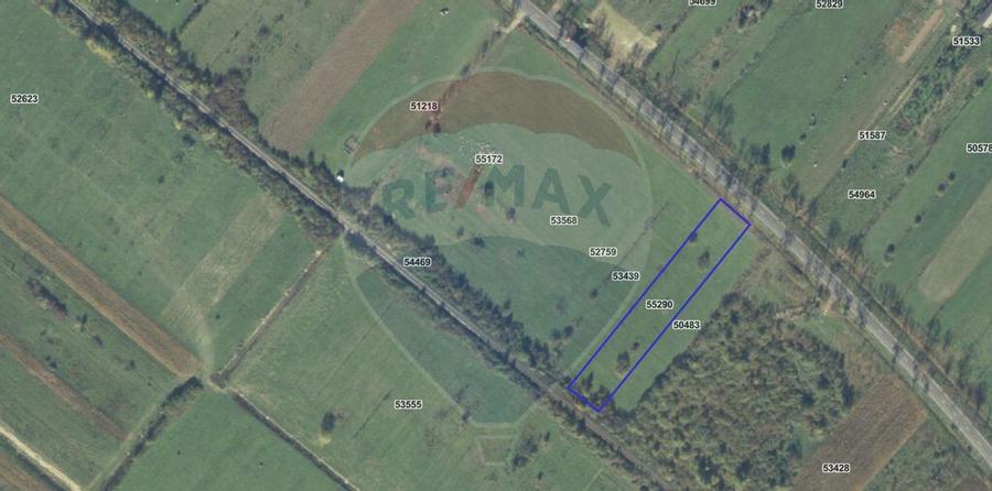 Teren 4,000mp Cicarlau / Strada Principala intravilan - 1