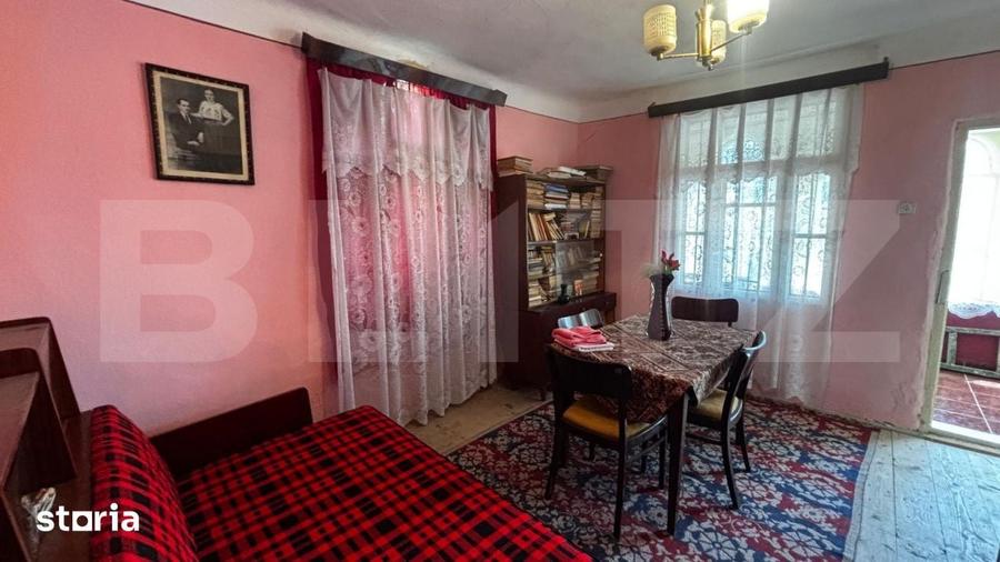 Proprietate cu 2 case, 3.345 mp teren, Balota de Jos, comuna Murgasi - 7