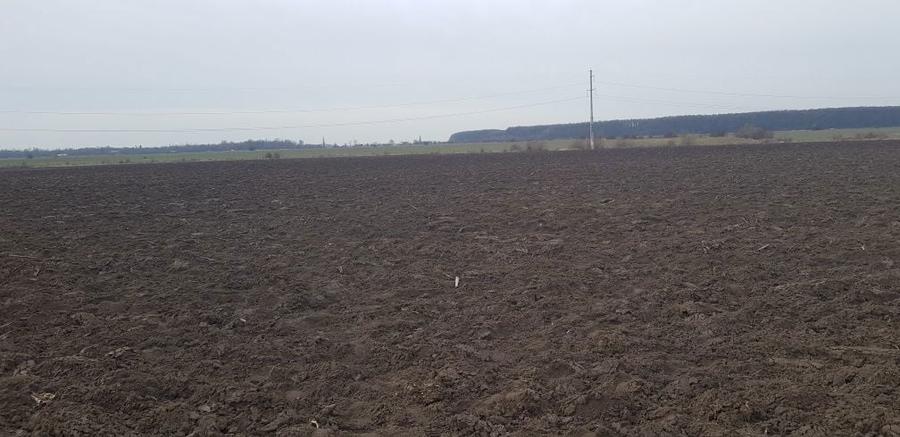 Teren de vanzare Soseaua Bucuresti - Magurele str malinului - 7