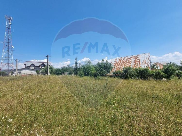 Teren intravilan 11.500 mp - Strada Cismari Valenii de Munte - 3