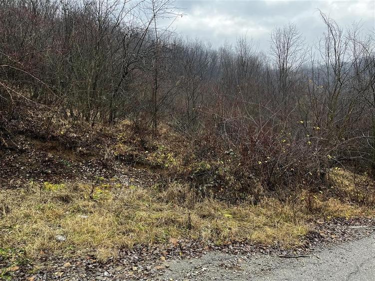 Teren intravilan 653 mp in Boldesti-Scaeni. - 3