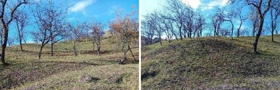 Teren cota parte 1/2, Sat Vistieru, ID: R2809860 - 5