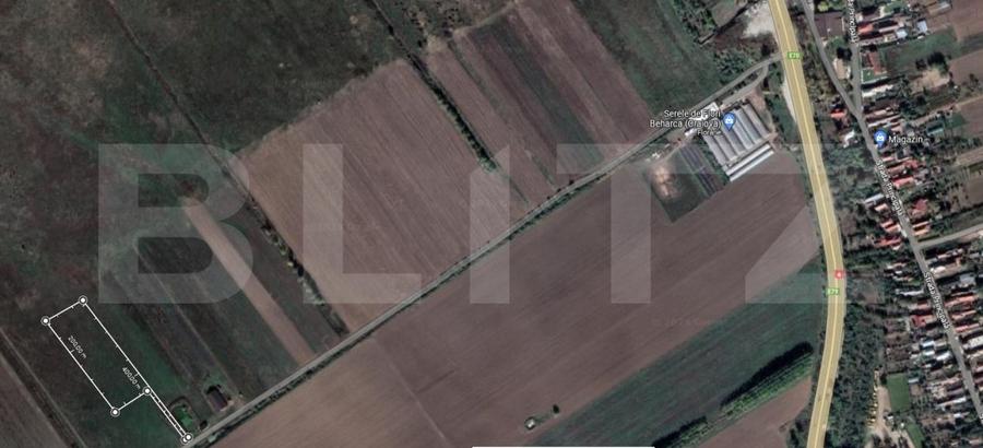 Teren agricol extravilan de 6000 mp, în Coțofenii din Față
