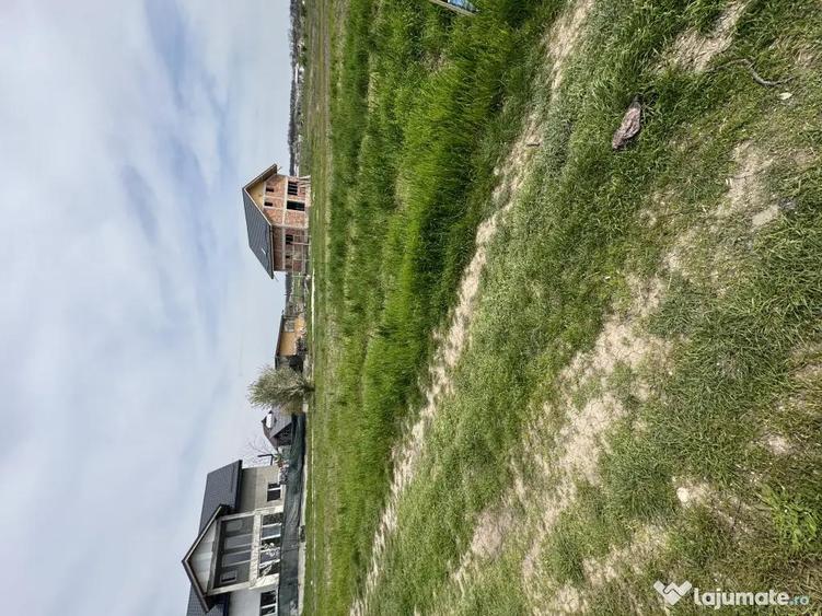 Teren 400 mp Darza - 1