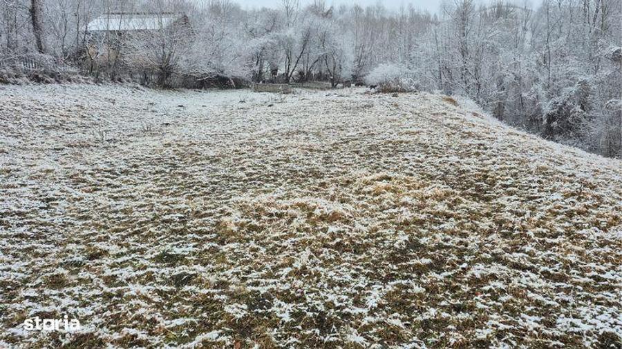 Vand teren Secaria, PH, 9380m2 - 2