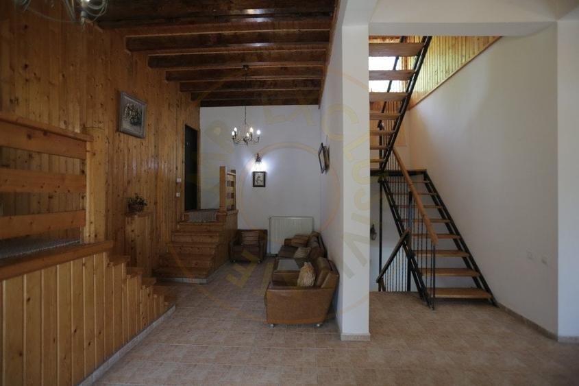 Pensiune in zona de munte-Baia de Fier - 8