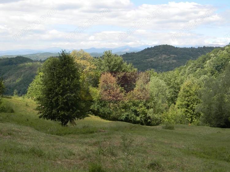 Teren intravilan de vanzare in Telega - 6