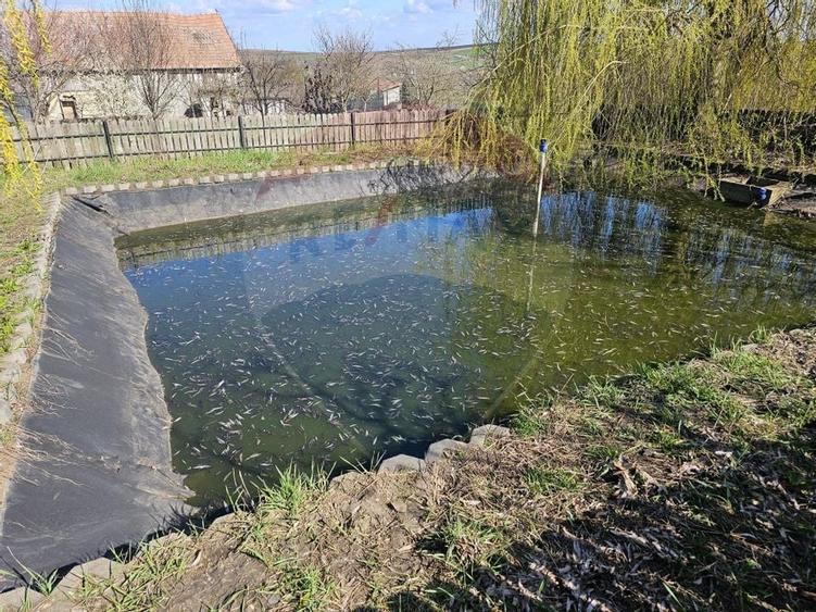 Casa cu teren in Tureni de 2300 mp, la 20 km de Cluj-Napoca - 17