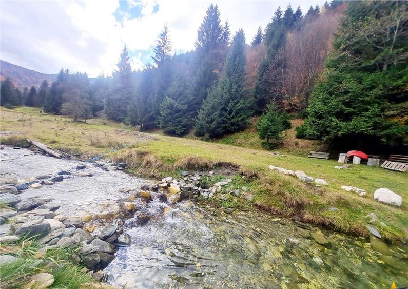 Teren intravilan panoramic 4.600mp,view iconic Piatra Craiul - 17
