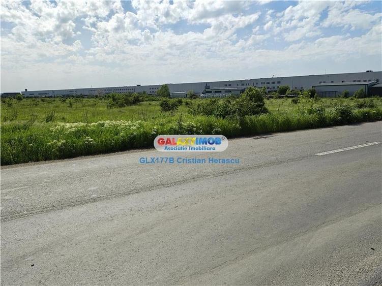 Teren Industrial 3 HECTARE Str Rudeni cu deschidere 50 ML - 3